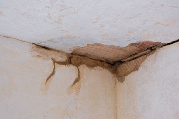 Best Commercial water damage restoration  in Van Horn, TX