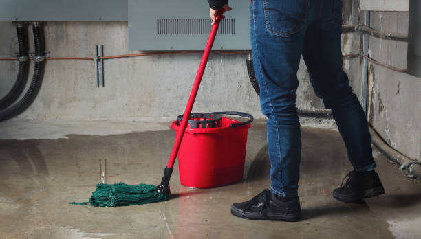 Best Fire Damage Restoration  in Van Horn, TX