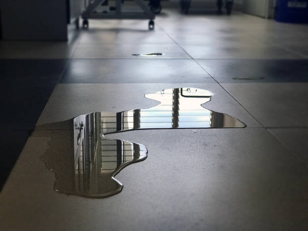 Best Professional water damage repair  in Van Horn, TX