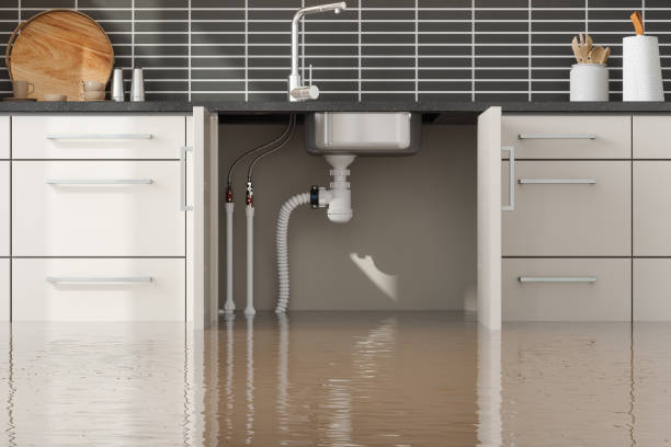 Best Emergency water damage restoration  in Van Horn, TX