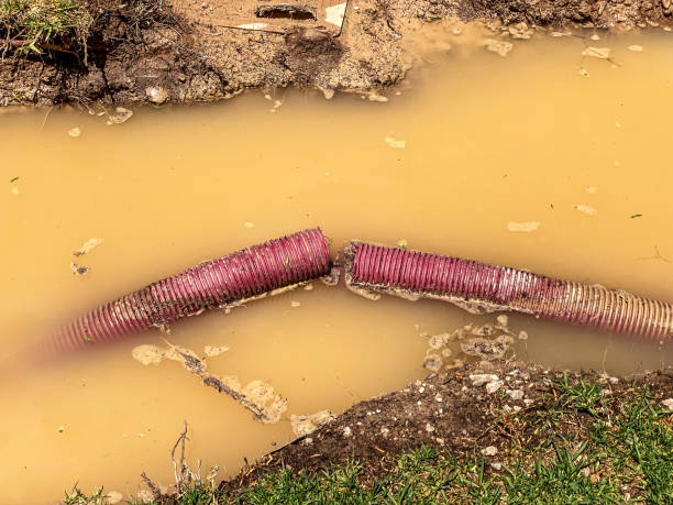 Best Flood restoration services  in Van Horn, TX